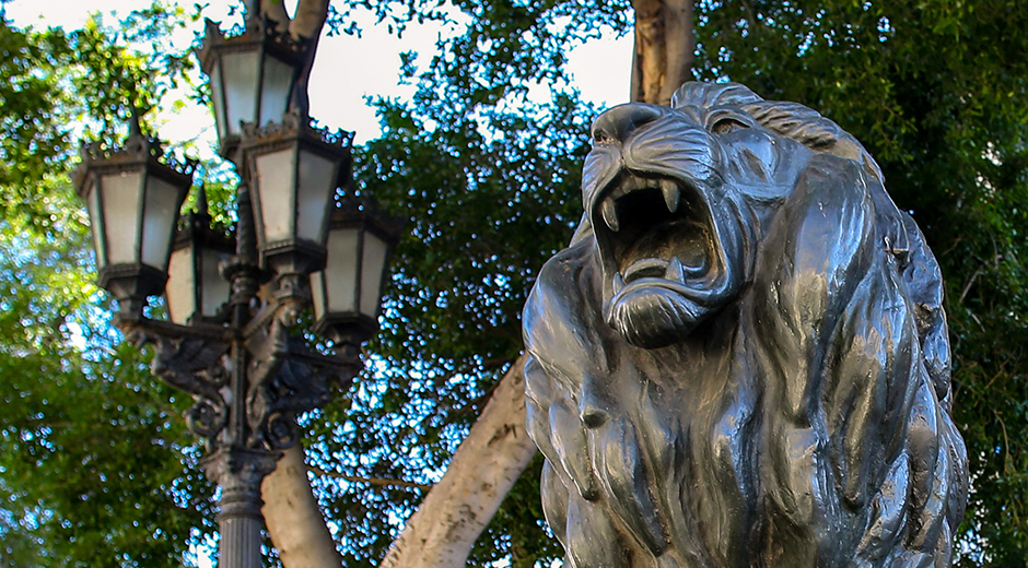 El Malecón de La Habana: Un símbolo de identidad cultural y orgullo nacional