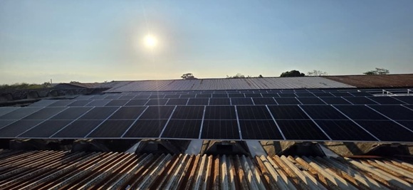 Merca-Max SURL: Innovación y energía solar impulsan producción en Cuba