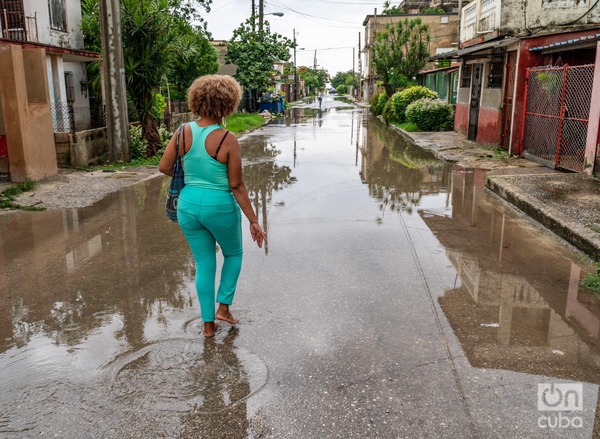 ONGs independientes confirman un nuevo feminicidio en Cuba: 17 víctimas en 2026