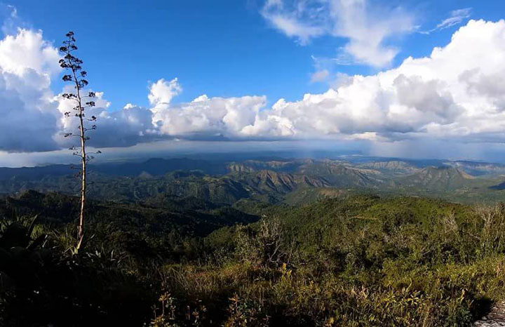 Santiago de Cuba desarrolla biotecnología para restaurar ecosistemas contaminados