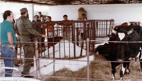 Medicina Veterinaria en Cuba