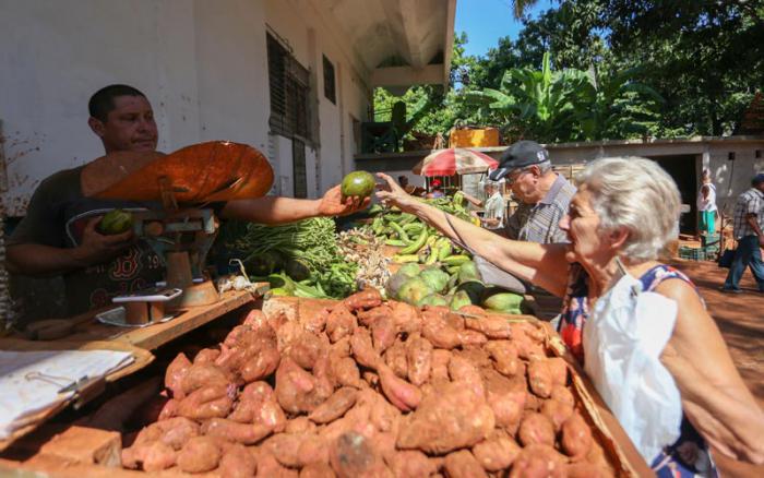 Cuba regula los Mercados de Barrio con la Resolución 16/2026