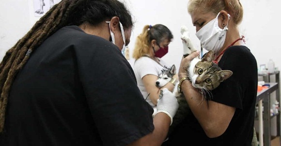 Organizaciones cubanas por los animales