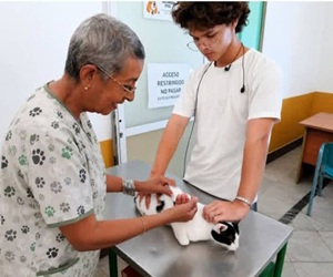 Clínica Veterinaria Paticas andantes