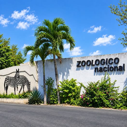 Zoológico Nacional de Cuba reabre sus puertas el 16 de septiembre tras restablecer