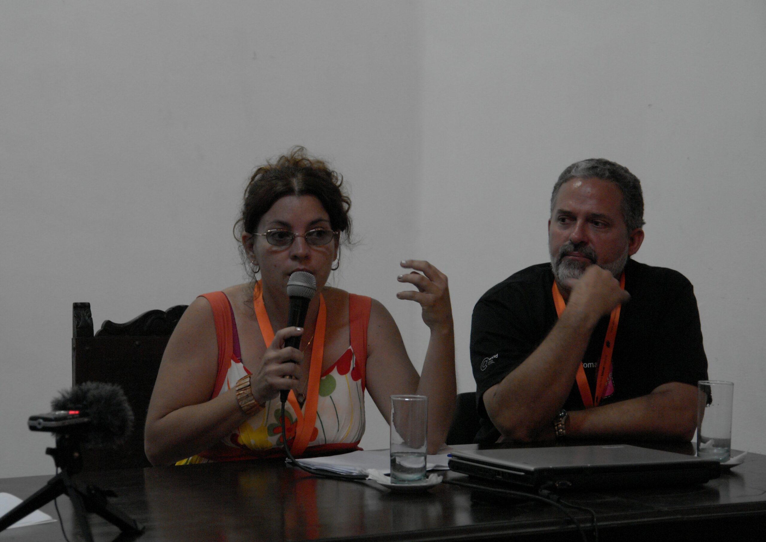 Dannys Montes de Oca: Experta cubana reflexiona sobre la selección del buen arte
