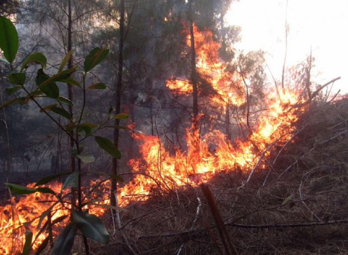 Incendio en Parque Nacional de Cuba