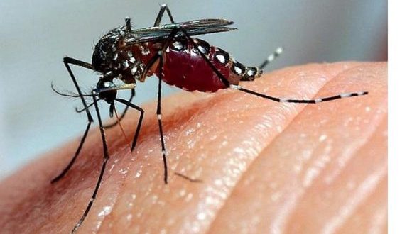 Cuba en alerta por aumento estacional de enfermedades transmisibles