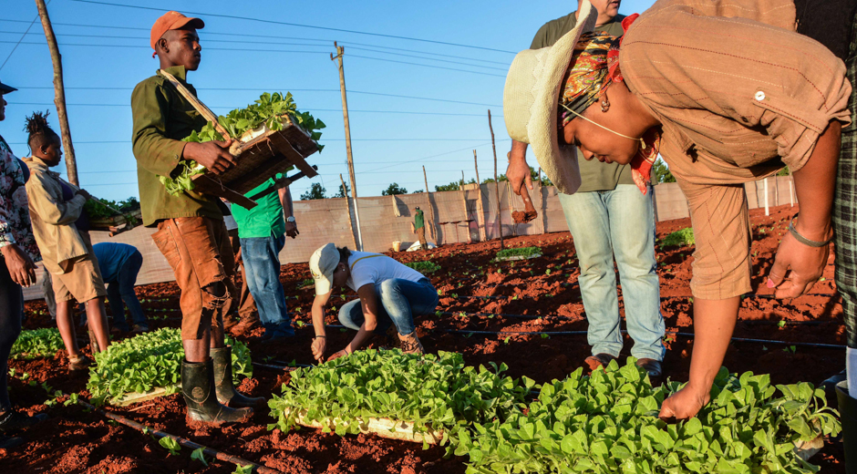 Autonomía municipal en Cuba