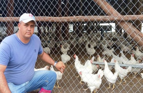 Noel Rolando Benítez