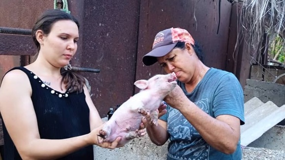 Sara Carcachel: Liderazgo femenino en la producción de carbón y desarrollo comunitario en