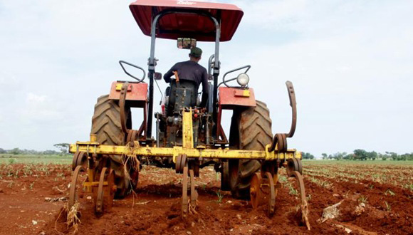 Cuba actualiza marco legal agrícola para impulsar producción de alimentos