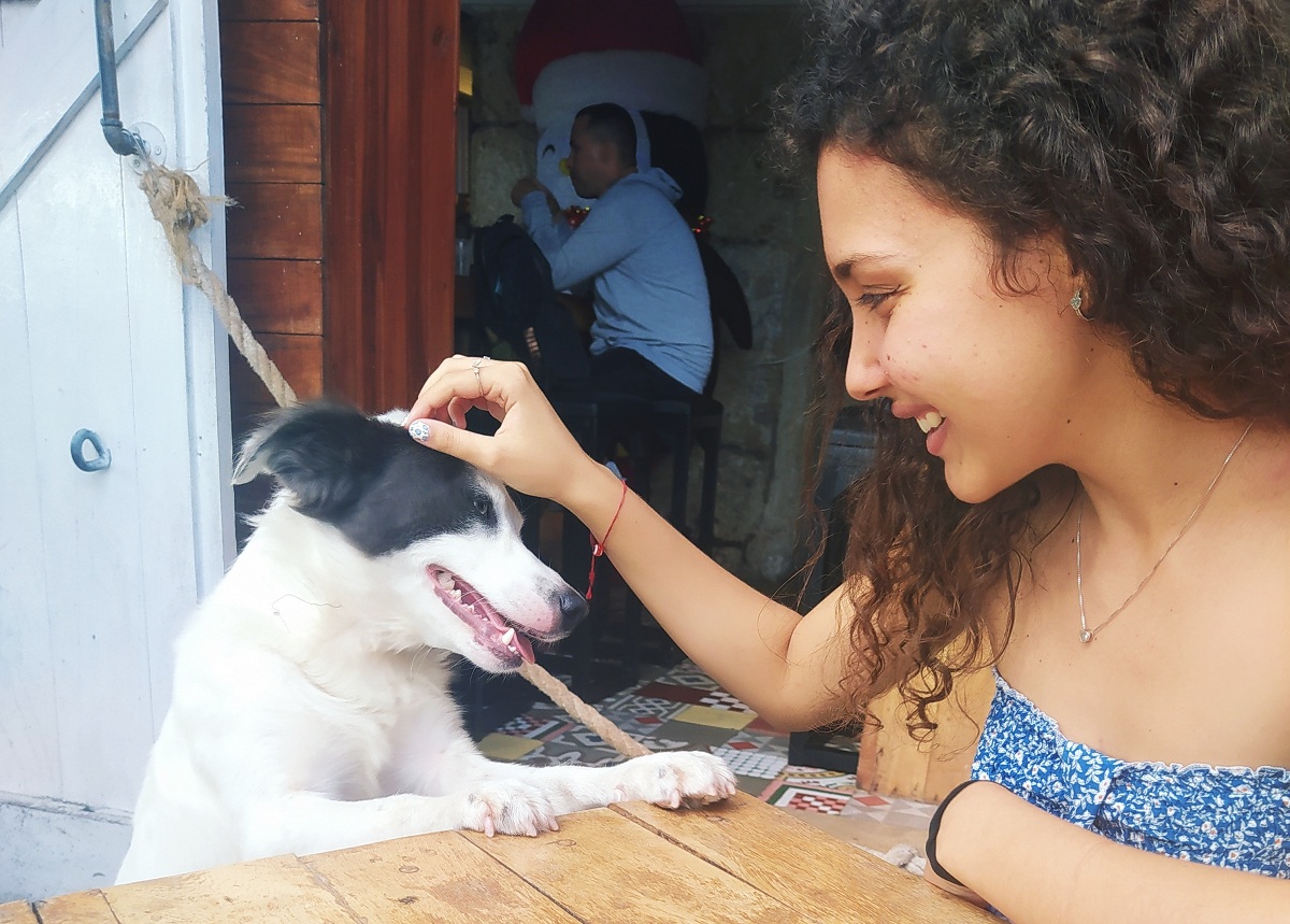 Cuba refuerza medidas para garantizar el bienestar animal