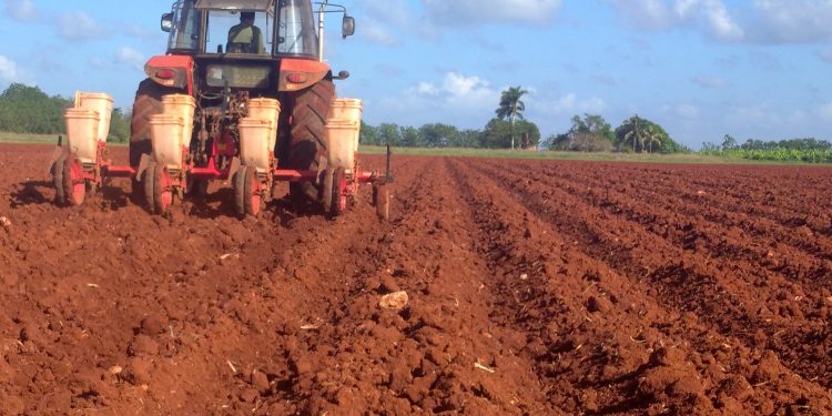 Desafíos en la producción agrícola