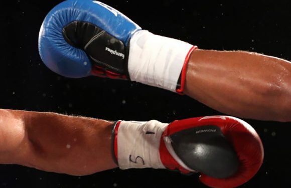 Boxeadores cubanos ganan medallas en torneo juvenil en Rusia