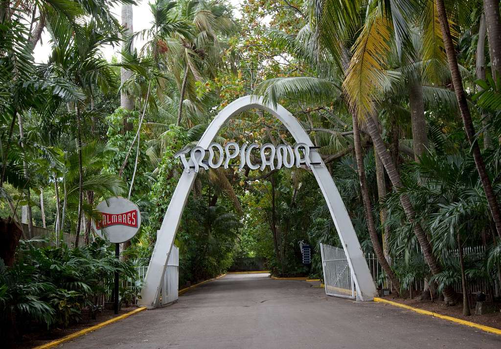 Tropicana acoge festival infantil de coros en homenaje al Día de los Padres