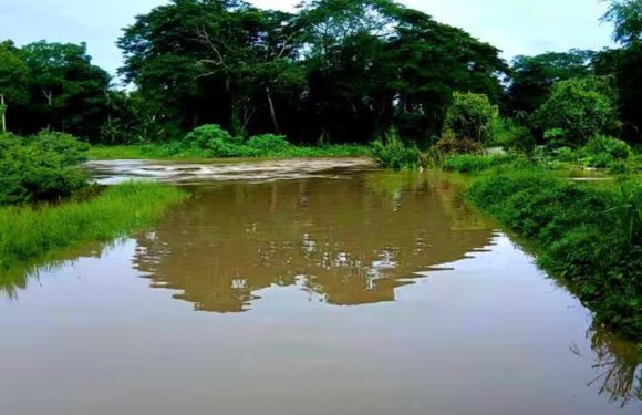Tormenta severa en San Juan y Martínez, Cuba, causa daños menores