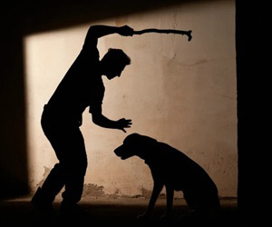 Cuba debate el maltrato animal y su marco legal