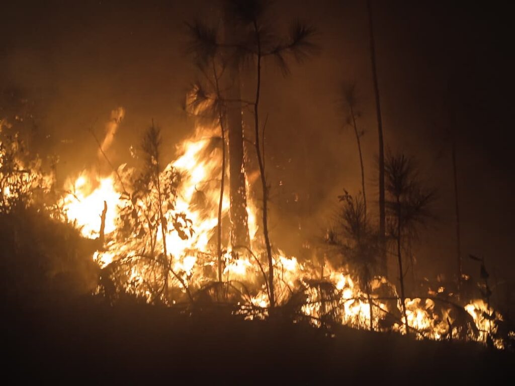 Seis incendios forestales activos en Pinar del Río afectan 760 hectáreas
