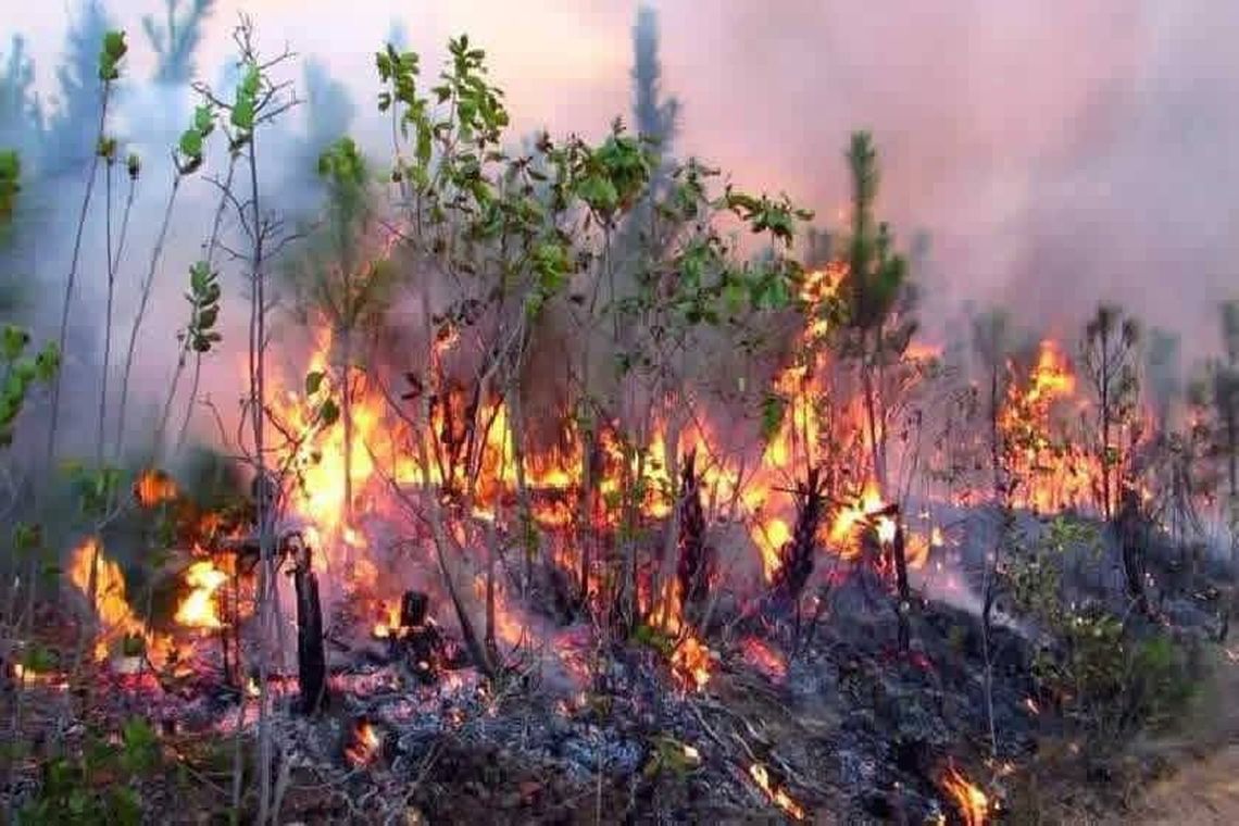 Incendios en Pinar del Río