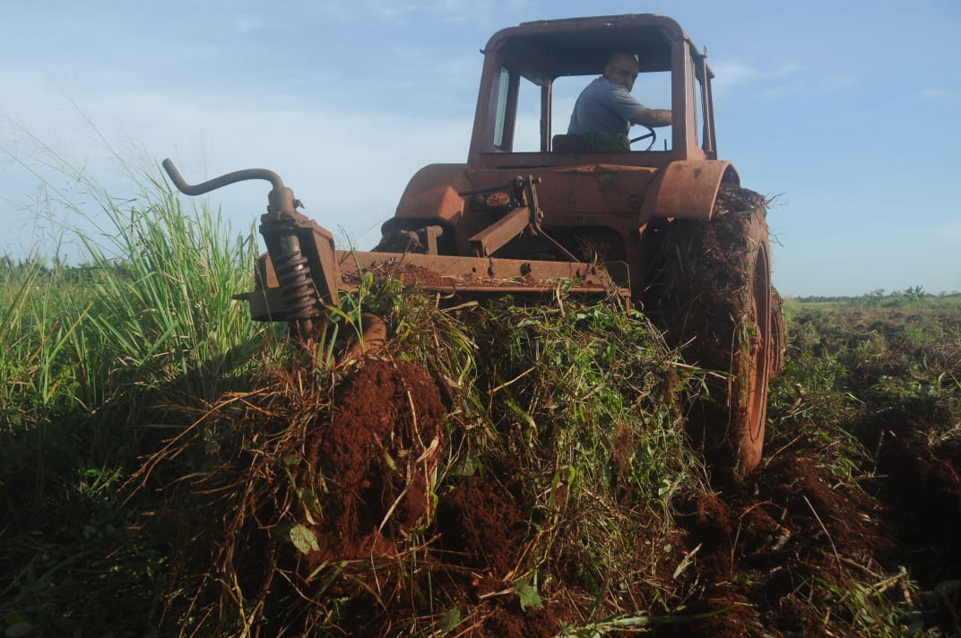 Productores agropecuarios en Artemisa enfrentan impagos crónicos