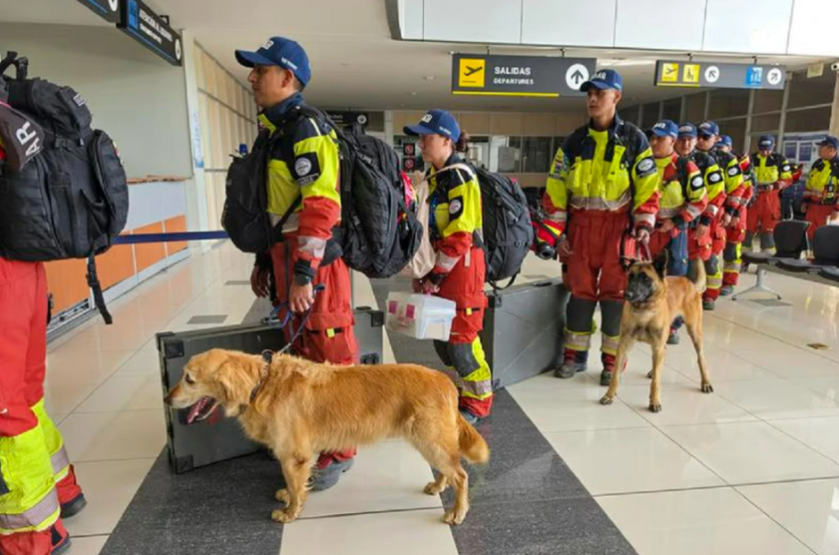 Perros rescatistas
