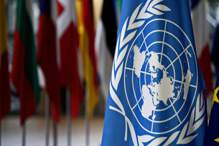 Cuba ingresa al Comité de ONG de la ONU
