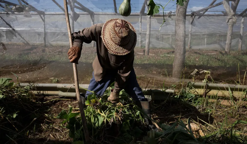 EE.UU. amplía sanciones a Cuba afectando su suministro de alimentos