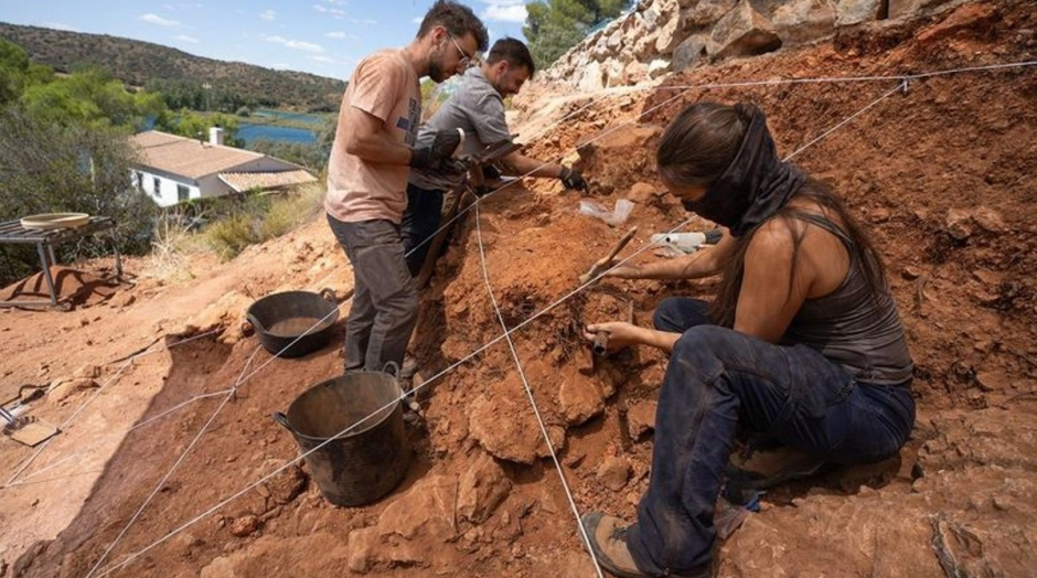 Cráneo de 200 000 años revela evolución humana no lineal