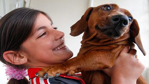 Cuba promueve el bienestar animal desde la primera infancia