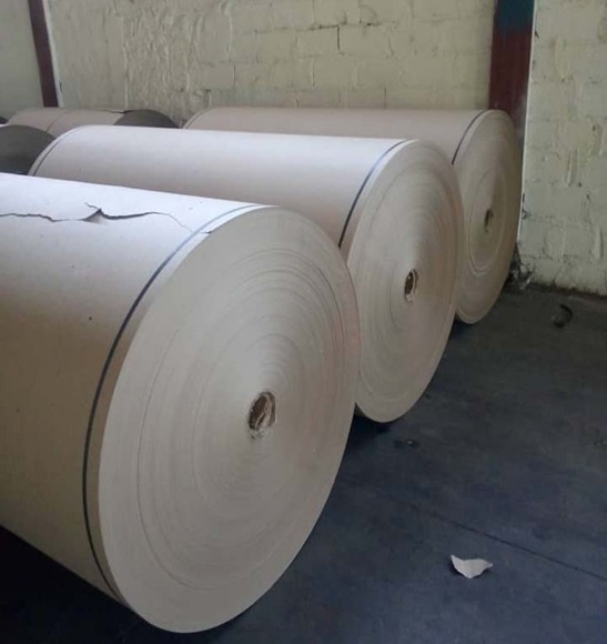 Papelera Damují reanuda producción