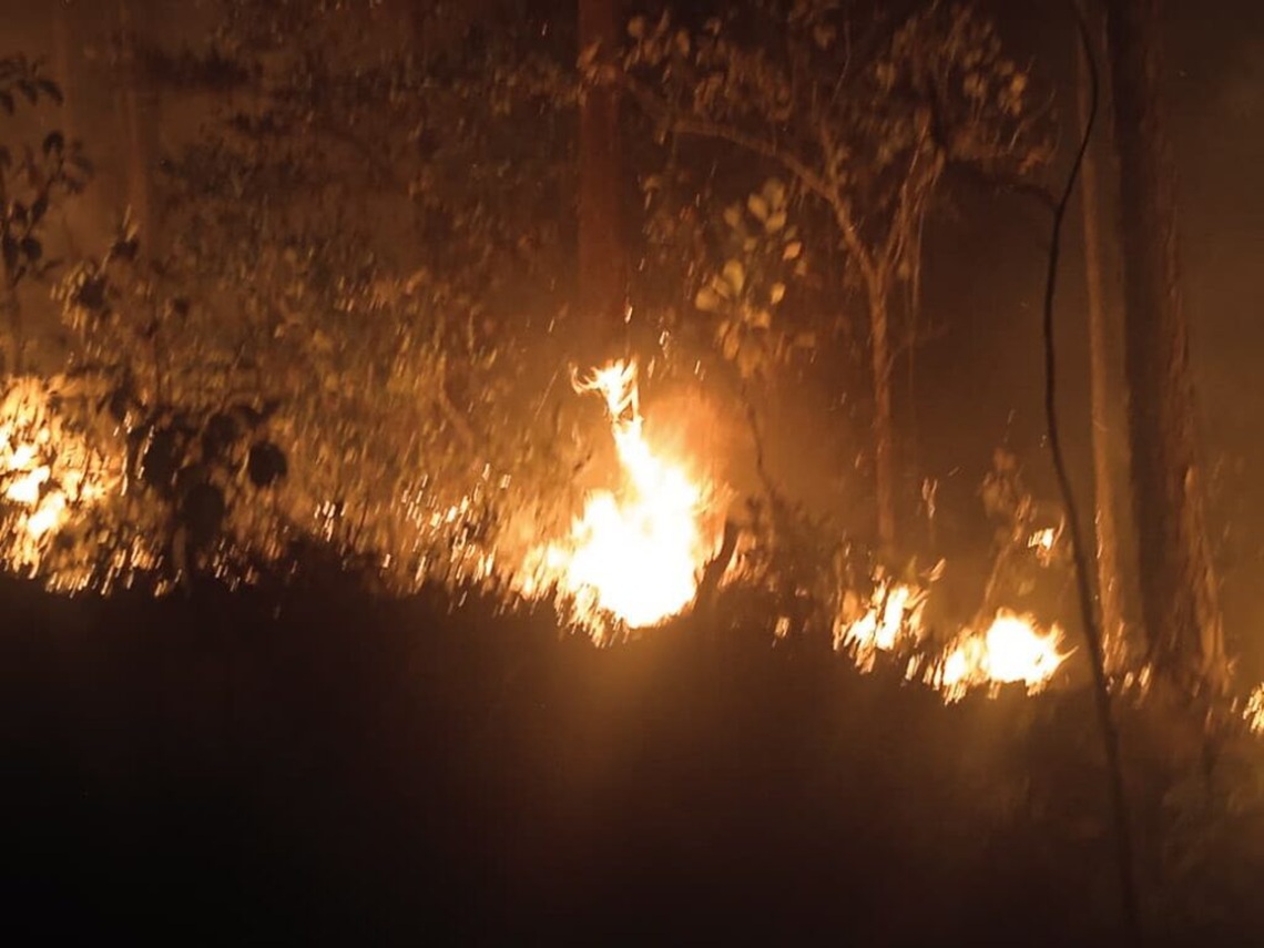 Incendios forestales en Pinar del Río arrasan 600 hectáreas de bosque