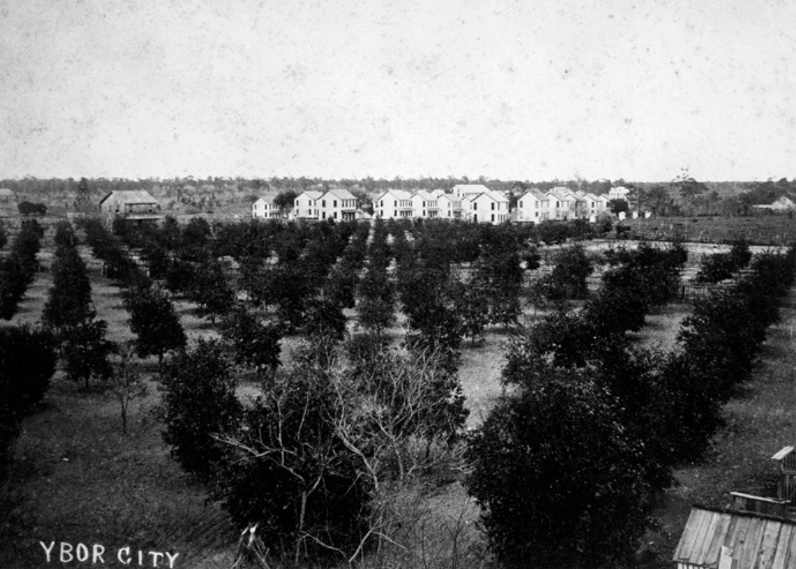 Vicente Martínez Ibor y la historia de Tampa