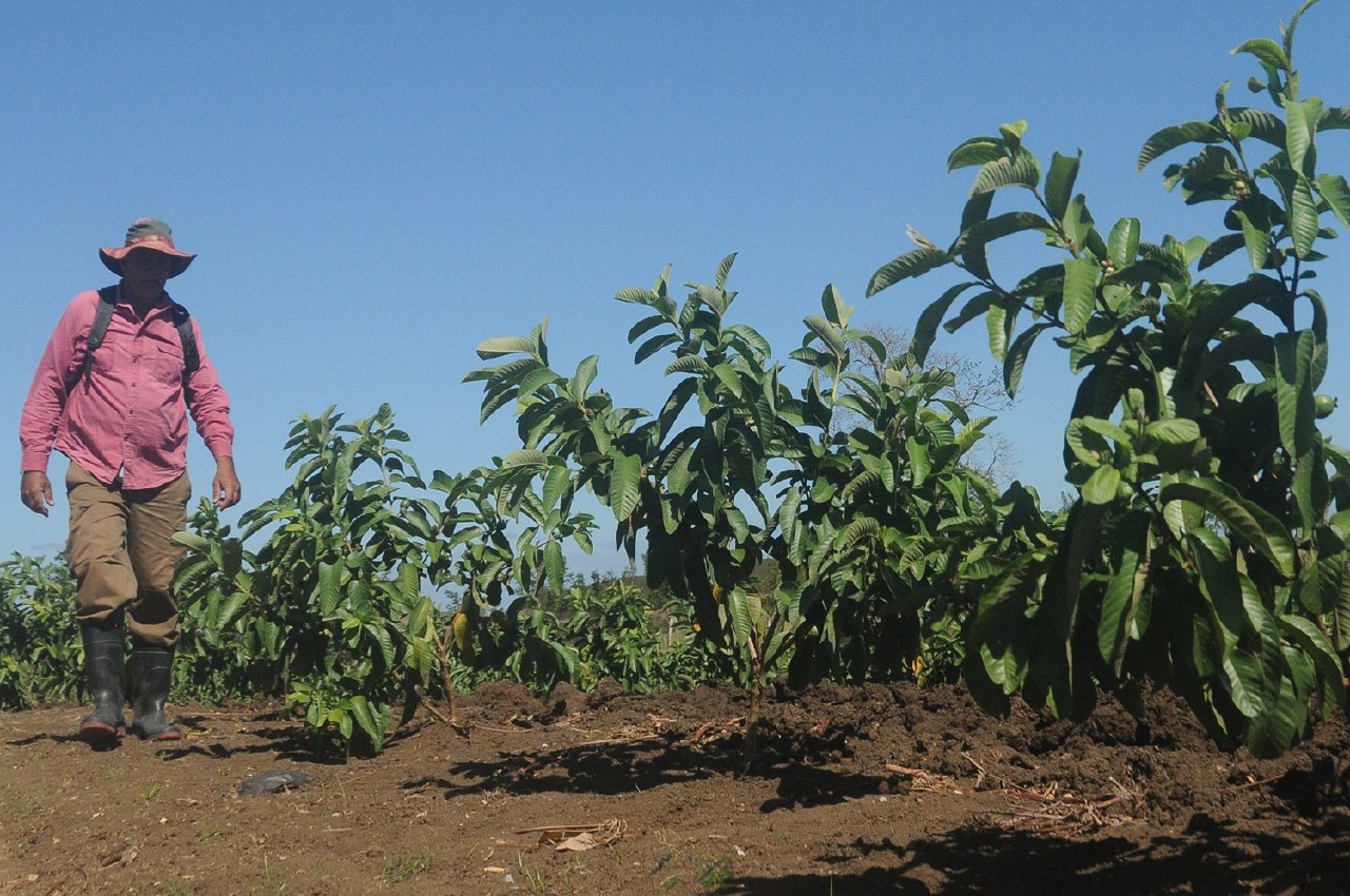 Impago a productores