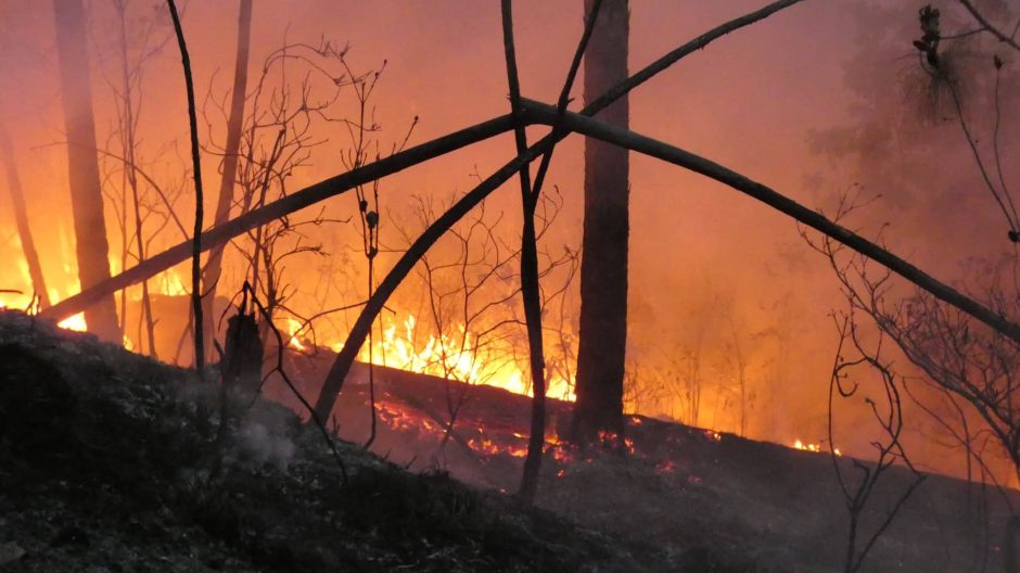 Incendio en La Palma, Pinar del Río